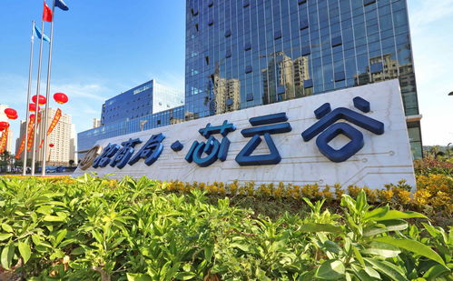 漳州開發區 打造廈門灣互聯網創業新高地