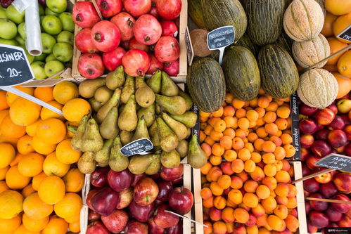 橙黃之舞 新鮮水果的健康饋贈(zèng)